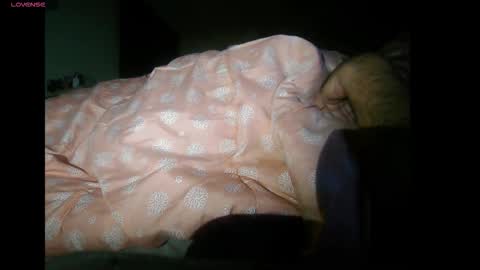 Snapshot of bzxxbzh chatting on 4, 11, 2025 bzxxbzh online show from 4, 11, 2025