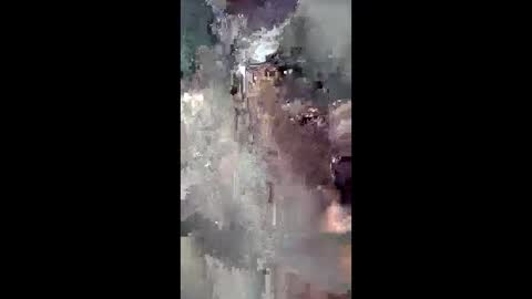 Sweetboi online show from 21, 12, 2025