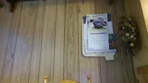 Snapshot of c4u58 chatting on 1, 2, 2026 c4u58 online show from 1, 2, 2026