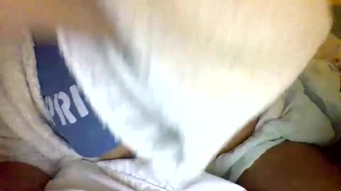 Snapshot of caligirl310r chatting on 5, 1, 2025 Caligurl   Queen    Head Fluffer In Charge  Goddess of Cocktease   Mistress of Holes online show from 5, 1, 2025