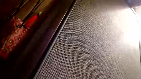 cameonu online show from 12, 1, 2026