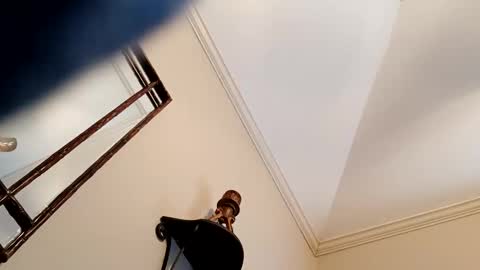 Snapshot of camerontaylorcub chatting on 3, 12, 2024 camerontaylorcub online show from 3, 12, 2024