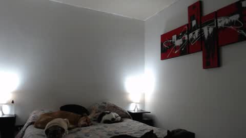 Snapshot of camila_bigcock_ts chatting on 12, 3, 2025 camila online show from 12, 3, 2025