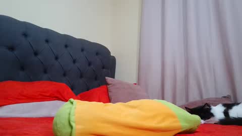 Camila Browm online show from 9, 2, 2025