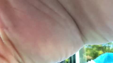 camronleehamilton online show from 12, 11, 2025