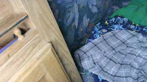 7777 online show from 13, 2, 2025