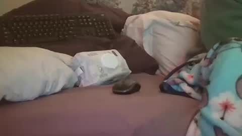 Candi online show from 3, 2, 2026