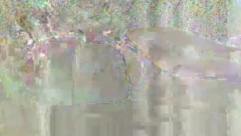 candy_ary online show from 3, 2, 2026