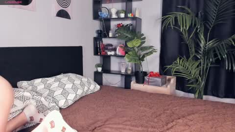 Sandy online show from 26, 12, 2024