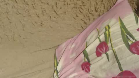 say meow and send tips  online show from 7, 12, 2024