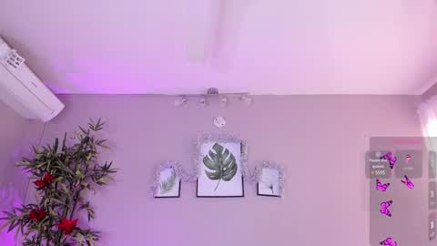 Snapshot of candyy_bella chatting on 2, 12, 2024 Isabella online show from 2, 12, 2024