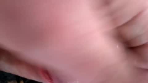 captainzoomvoom online show from 17, 2, 2026