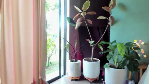 Snapshot of caramelo_xox chatting on 17, 11, 2025 online show from 17, 11, 2025