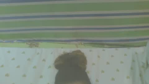 carinesexy69 online show from 31, 10, 2025