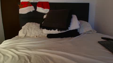 Snapshot of carlbadams96 chatting on 31, 12, 2024 sebasfit online show from 31, 12, 2024