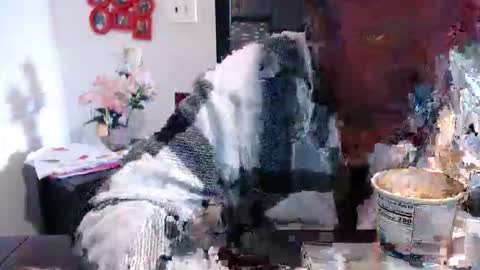 Snapshot of carliecreams chatting on 13, 3, 2026 Carlie online show from 13, 3, 2026