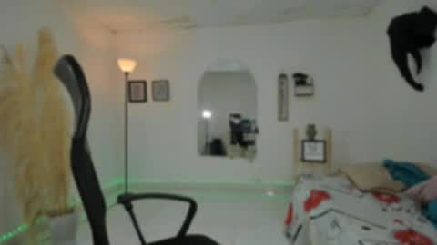 master online show from 29, 11, 2025