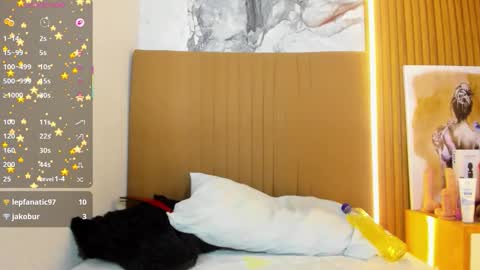 Snapshot of carolinecastle chatting on 21, 3, 2026 OSNA online show from 21, 3, 2026