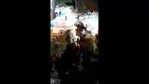 carrilloeverardo219 online show from 23, 3, 2026