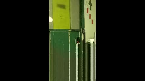 carrilloeverardo219 online show from 25, 3, 2026