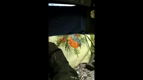 carrilloeverardo219 online show from 28, 3, 2026