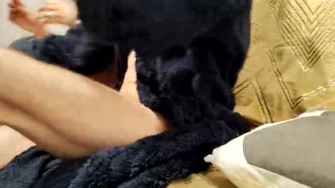 casal_301 online show from 23, 2, 2025