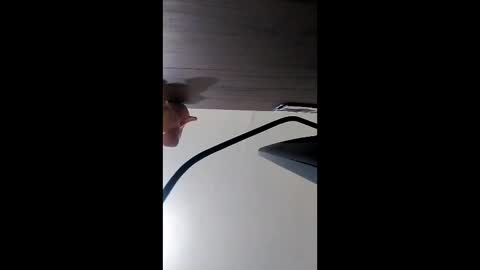 casalsexy26 online show from 8, 2, 2026