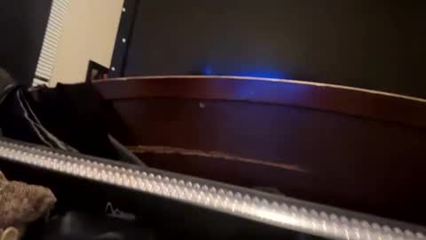 casidy1 online show from 8, 1, 2025