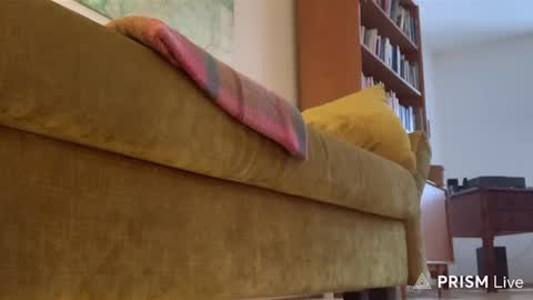 Snapshot of casperdavidfriedrich chatting on 14, 2, 2026 casperdavidfriedrich online show from 14, 2, 2026