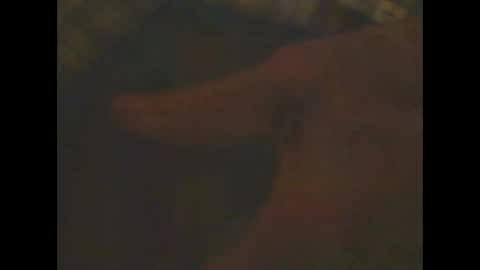 castells online show from 23, 2, 2025