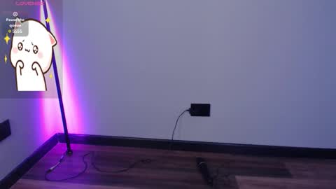 cat online show from 25, 11, 2025