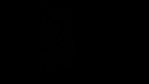 cata_n_cami online show from 21, 12, 2024