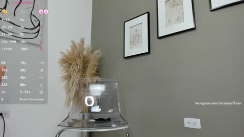 Snapshot of catalinaofficer chatting on 25, 12, 2024 Catalina Howard Aragon online show from 25, 12, 2024