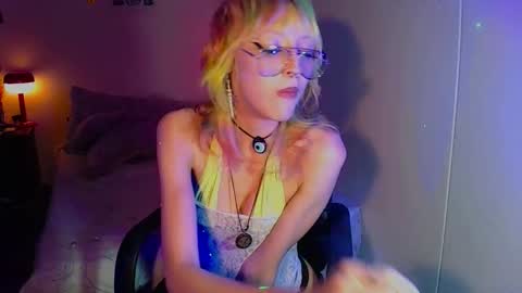 Cat online show from 11, 9, 2025