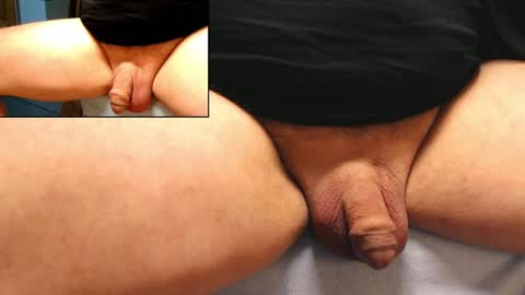 Snapshot of catlover03 chatting on 8, 2, 2025 Mike online show from 8, 2, 2025