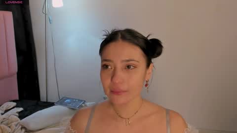 Cat online show from 3, 2, 2026