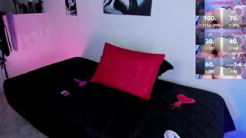 CattNamy online show from 9, 3, 2026