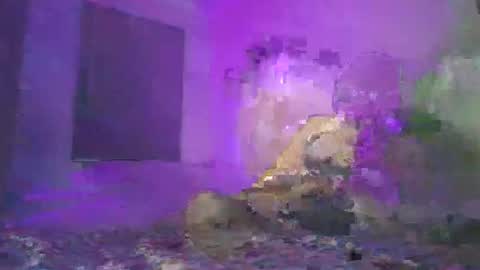 cazrus online show from 24, 2, 2026