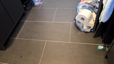 Telegram ldl123 online show from 8, 3, 2025