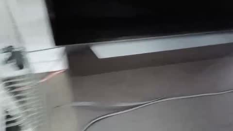 cbg65 online show from 4, 2, 2026