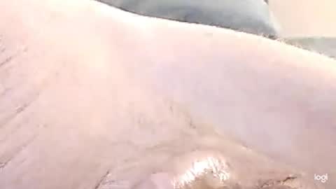 cfnmkinky28 online show from 17, 12, 2024