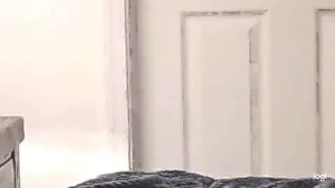 cfnmkinky28 online show from 24, 12, 2024