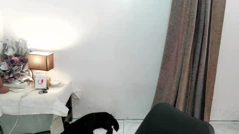 Snapshot of chakadal_xx chatting on 20, 11, 2025 chakadal_xx online show from 20, 11, 2025