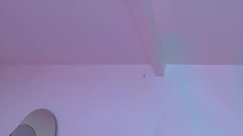 Snapshot of chaneladamss_ chatting on 3, 11, 2025 C H A N E L online show from 3, 11, 2025