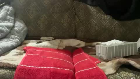 charlesbr019 online show from 16, 11, 2025