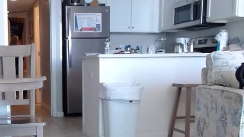 Snapshot of charleyandsmokie chatting on 31, 10, 2025 charleyandsmokie online show from 31, 10, 2025