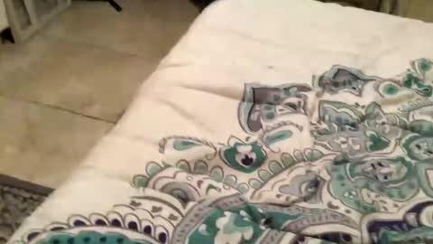 charliebroun online show from 18, 2, 2025