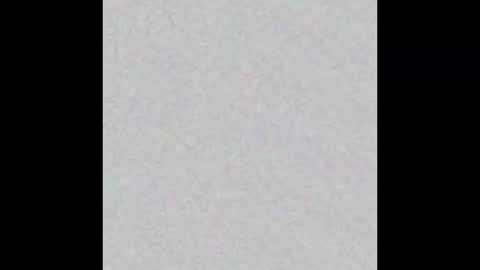 Charlotte online show from 20, 3, 2026