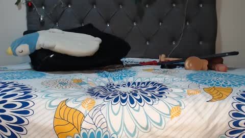 charlottee07 online show from 11, 2, 2025