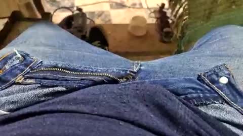 Parcero online show from 14, 9, 2025